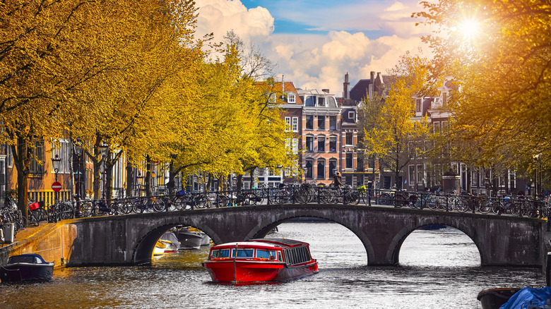 An autumnal scene along a canal in Amsterdam