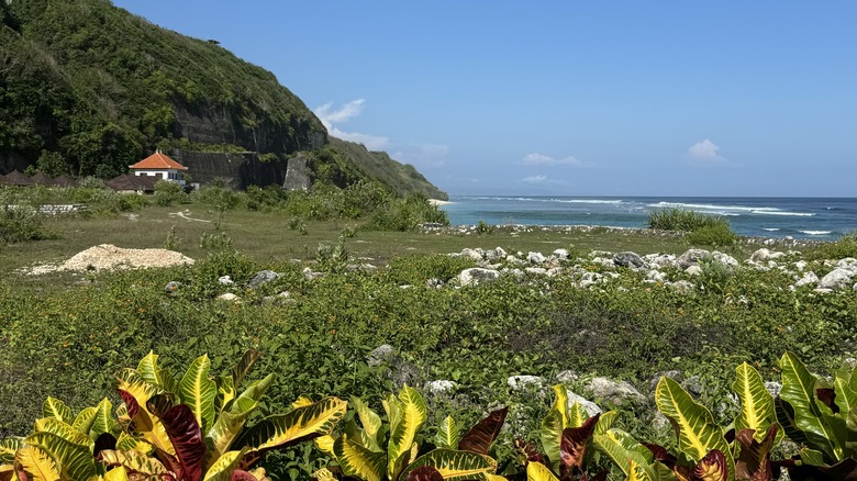 View of the Indian Ocean with cliffs on the left and tropical foliage in the foreground at Pandawa Beach, Bali