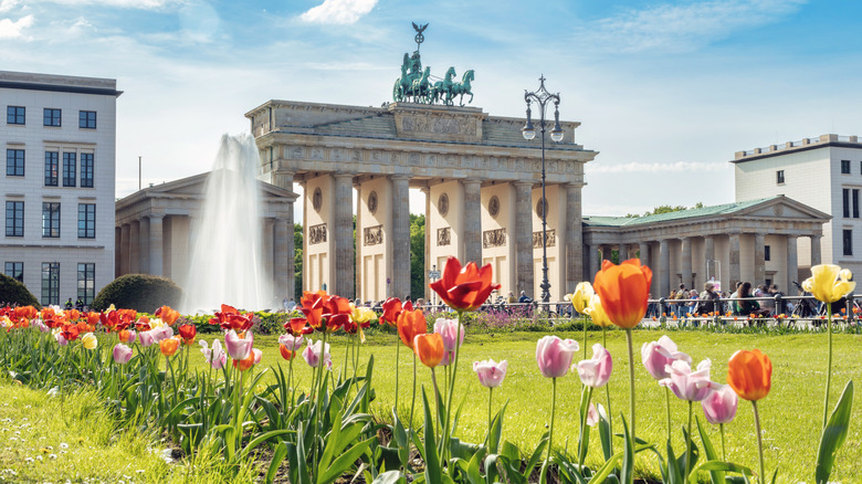Tulips bloom in Pariser Platz with the Brandenburg Gate in the background