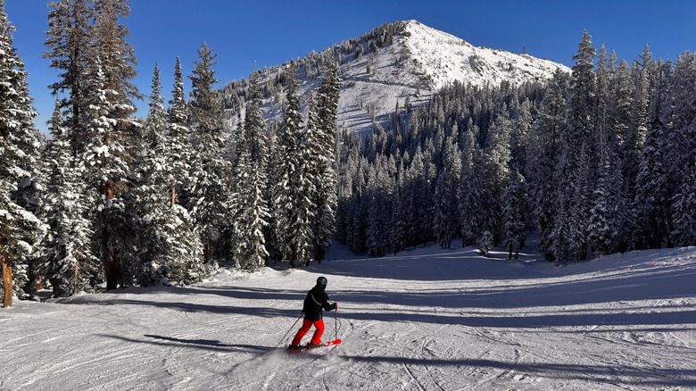 A skier at Brighton Resort in Utah