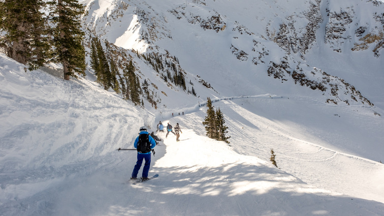 Skiers head down Pipeline Chute at Snowbird Resort in Alta, Utah