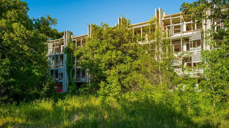 Haludovo Palace Hotel ruins surrounded by greenery