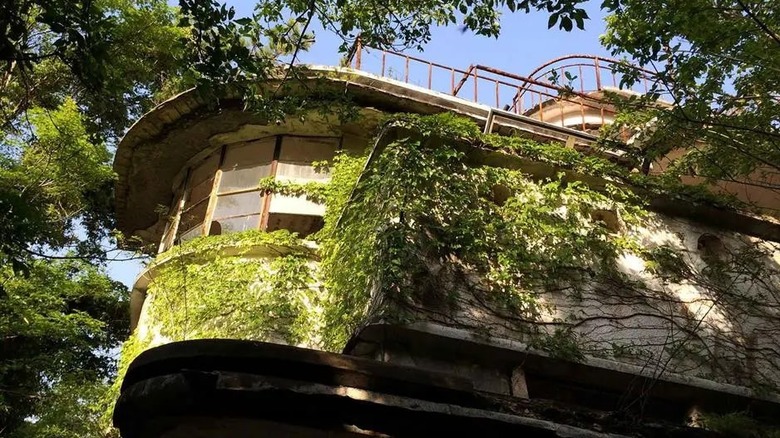 Abandoned Maya Hotel covered in greenery