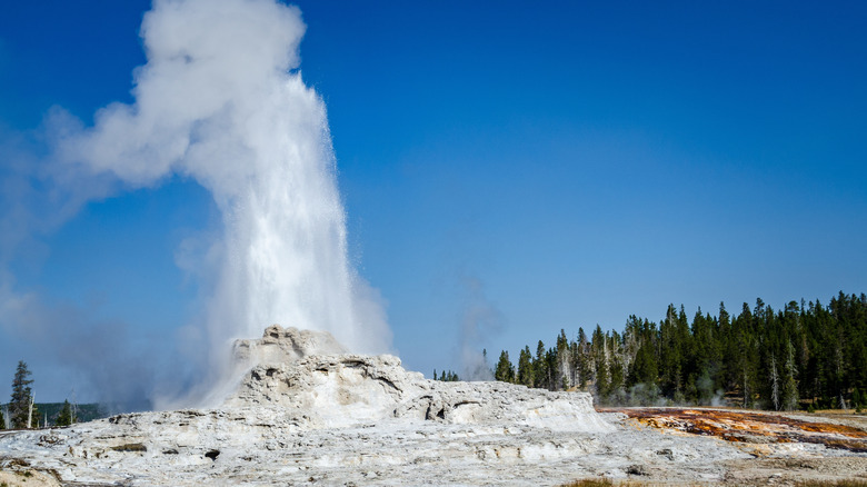 Castle Geyser eruption in Upper Geyser Basin at Yellowstone National Park