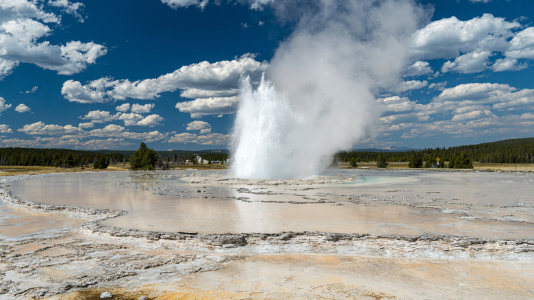 Great Fountain Geyser erupting in Lower Geyser Basin at Yellowstone National Park