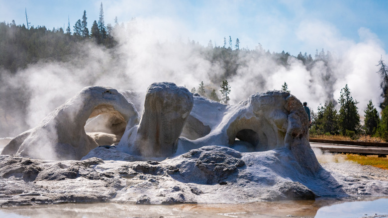 The uniquely "wavy" cone shape of Grotto Geyser as it erupts in Yellowstone National Park