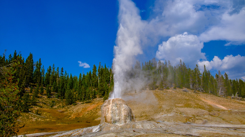 Lone Star Geyser at Yellowstone National Park