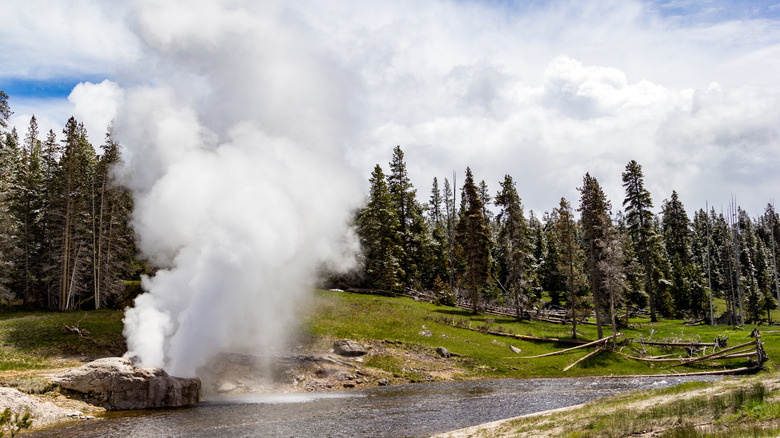 Riverside Geyser along Firehole River at Yellowstone National Park