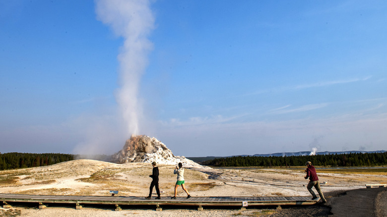 Tourist walk in the foreground of White Dome Geyser at Yellowstone National Park