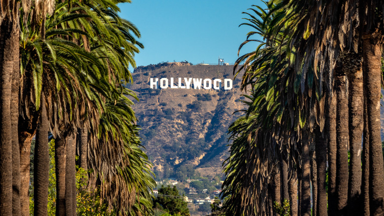 Hollywood sign between palm trees