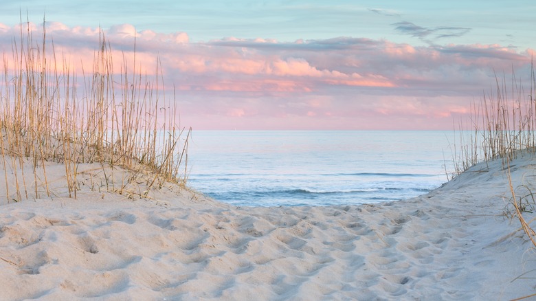 Beach in Outer Banks at sunset