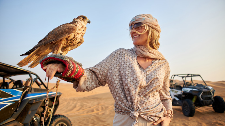 traveler in the desert with a falcon standing on their extended arm