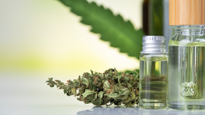 close up of hemp and cannabis products