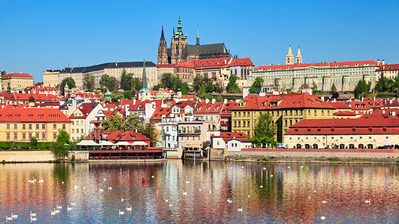 Prague Castle reflected on the swan-filled Vlatava River