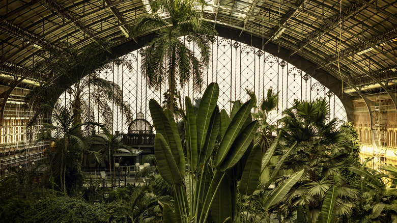 A huge arched glass ceiling and tropical plants at Madrid Atocha railway station