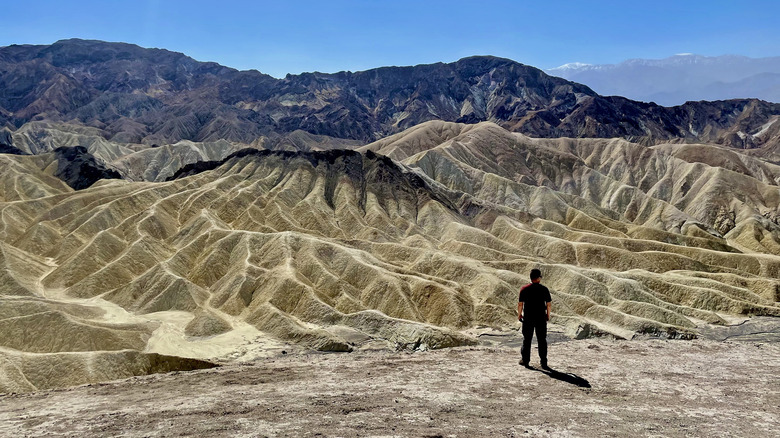 a person admiring a valley on a clear sunny day at Death Valley National Park