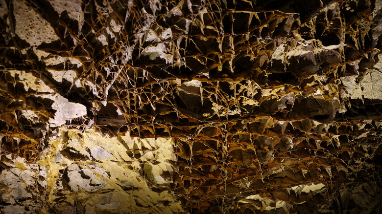 unique boxwork lattice on the ceiling of a cave