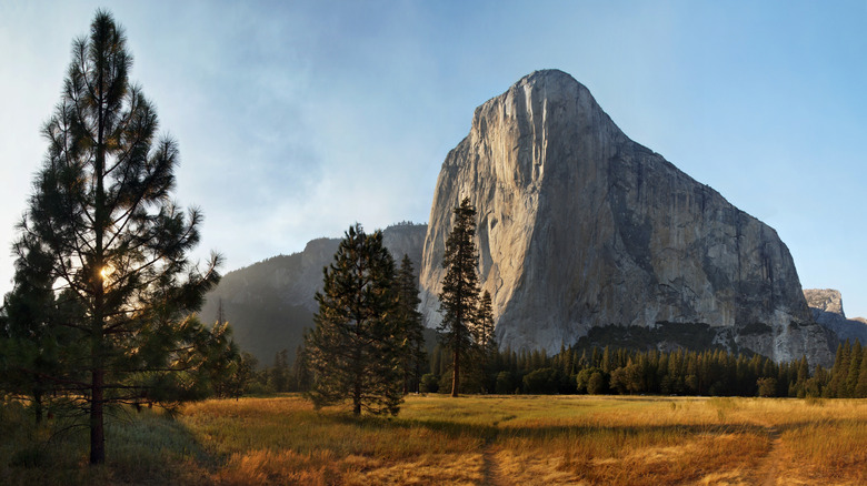 field in foreground wtih sparse trees and el capitan rising in distance at sunset