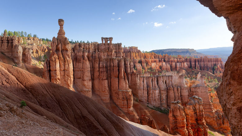 panoramic view of hoodoos from canyon rim looking down