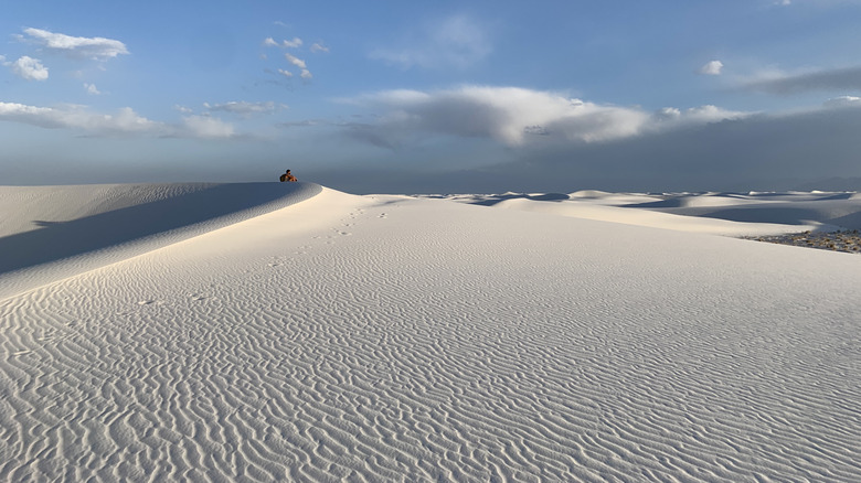 panoramic view of dunefield with someone sitting on top of a dune