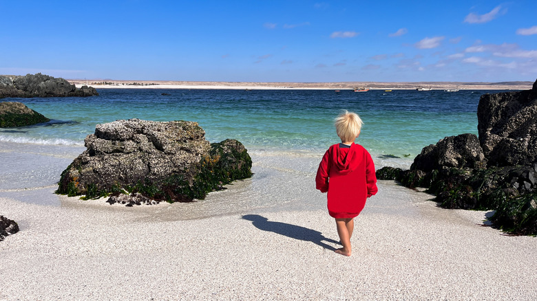 child at the edge of clear blue beach water and pristine sand