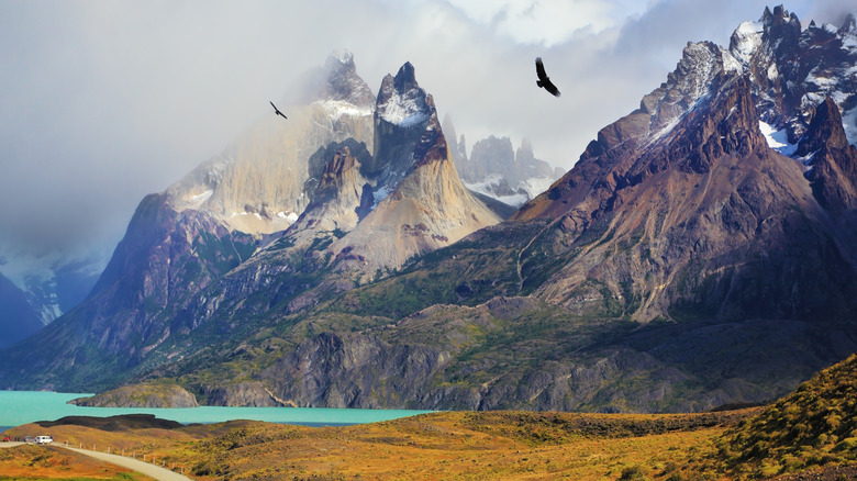 condors flying over Patagonia