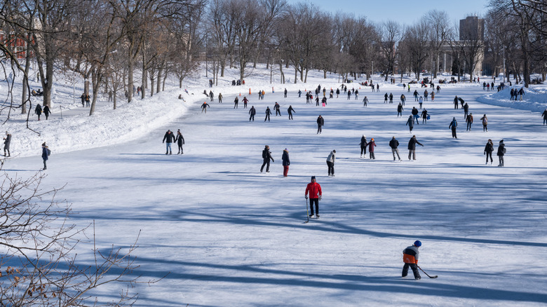 the park's central pond frozen in winter with dozens of ice skaters