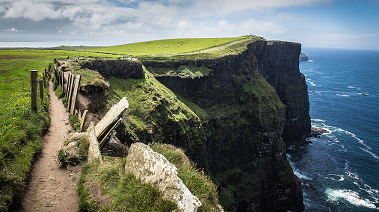 A small path leading along the edge of Ireland's Cliffs of Moher on a clear day
