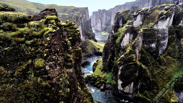 The narrow Fjaðrárgljúfur Canyon gorge in south Iceland on a sunny day