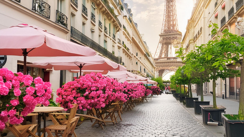 street filled with flowers leading to the eiffel tower