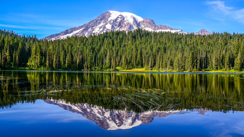 Mt Rainier National Park with its quiet volcano reflected in a still lake.