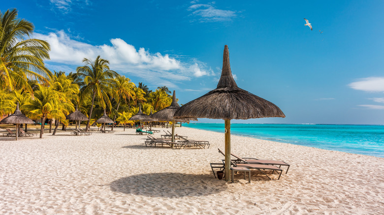 Thatched umbrellas along a pristine beach in Mauritius