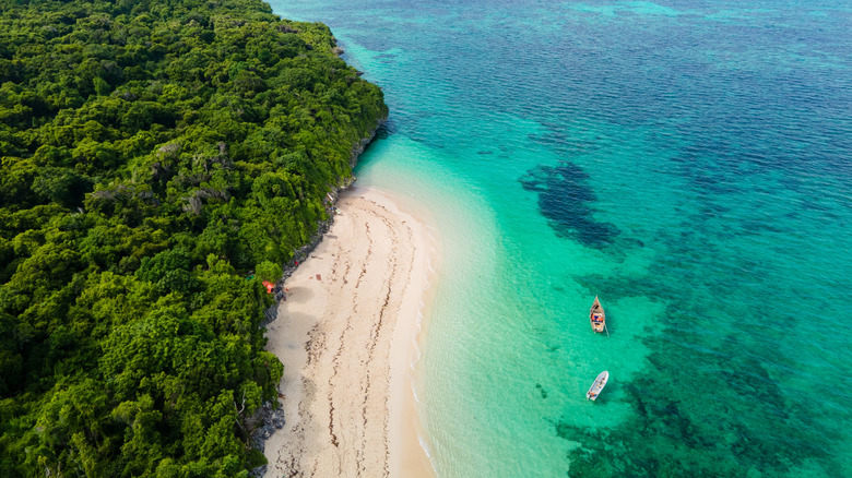 Aerial view of white sands, turquoise water and green palm trees on the coast of Zanzibar, Tanzania