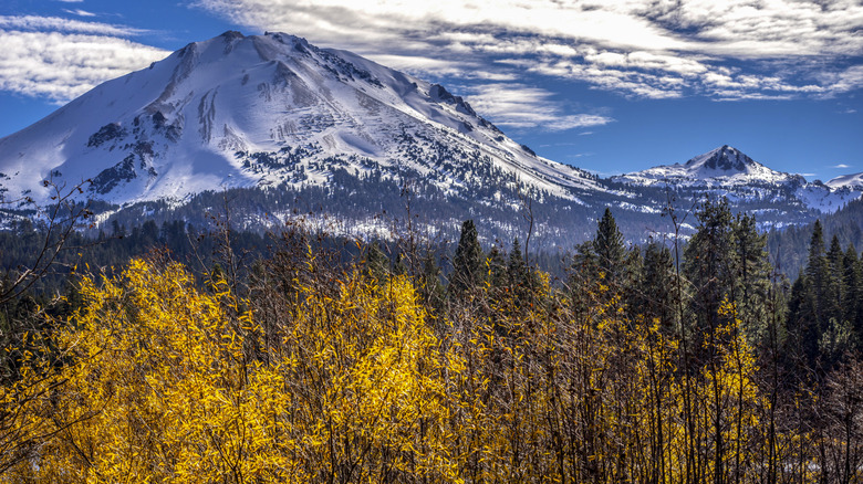 Lassen Volcanic National Park mountain in fall, with yellow trees in the foreground