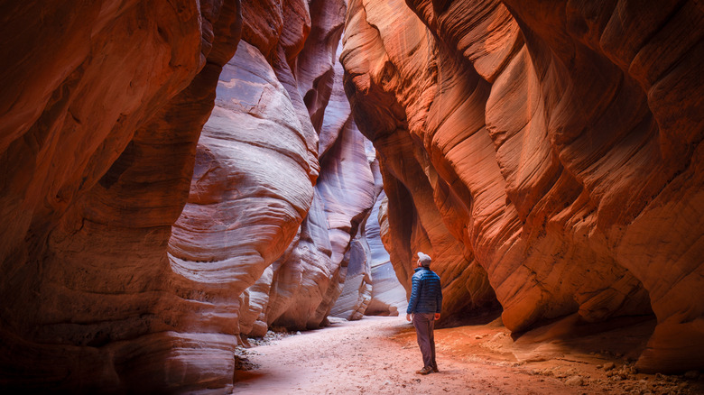 a man standing inside a slot canyon looking at sunlight streaming through the opening at the top