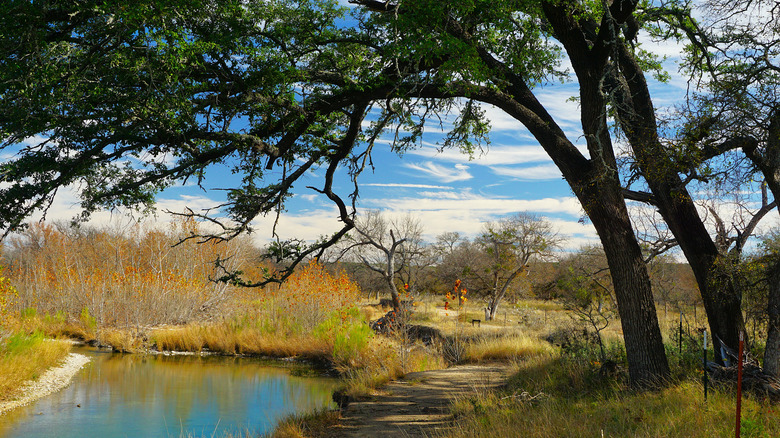The Scenic River Trail at South Llano State Park