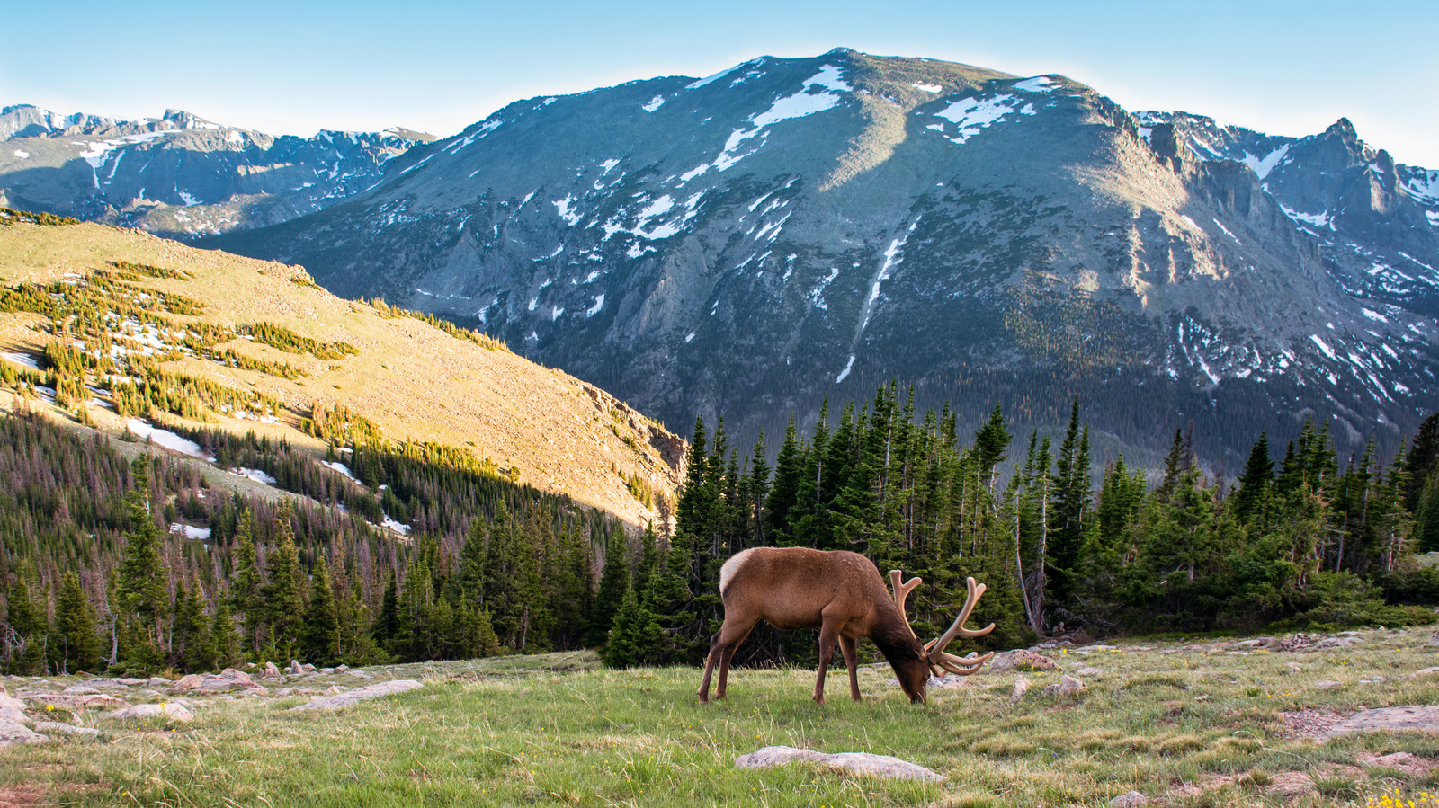 5 Of Colorado's Cutest Gateway Towns Near Rocky Mountain National Park
