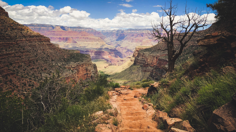 Red steps of the Bright Angel Trail heading straight into the Grand Canyon