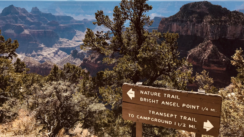 Brown sign pointing to Bright Angel Point Trail in Grand Canyon's North Rim