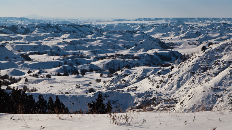 Snowy Theodore Roosevelt National Park landscape in winter