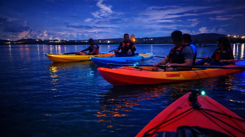 Kayakers in the water at dusk at Mosquito Bay, Puerto Rico