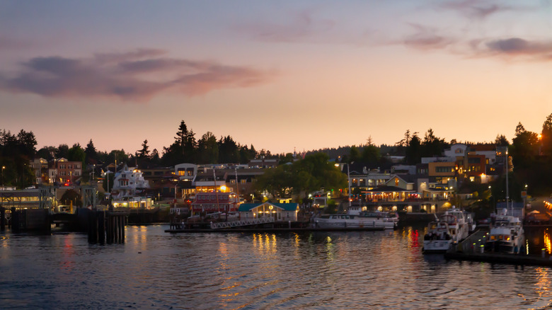 Friday Harbor at dusk, with illuminated buildings and homes along the coast
