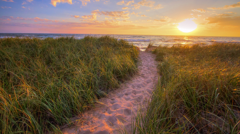 Sandy trail leading to a beach on the shores of Lake Michigan at sunset