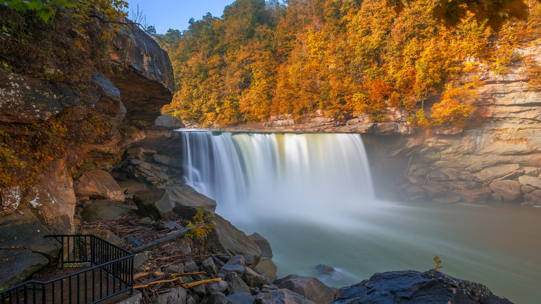 Fall foliage surrounding Cumberland Falls in Kentucky