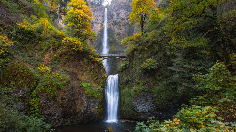 The towering Multnomah Falls in Bridal Veil, Oregon, with a bridge in the middle