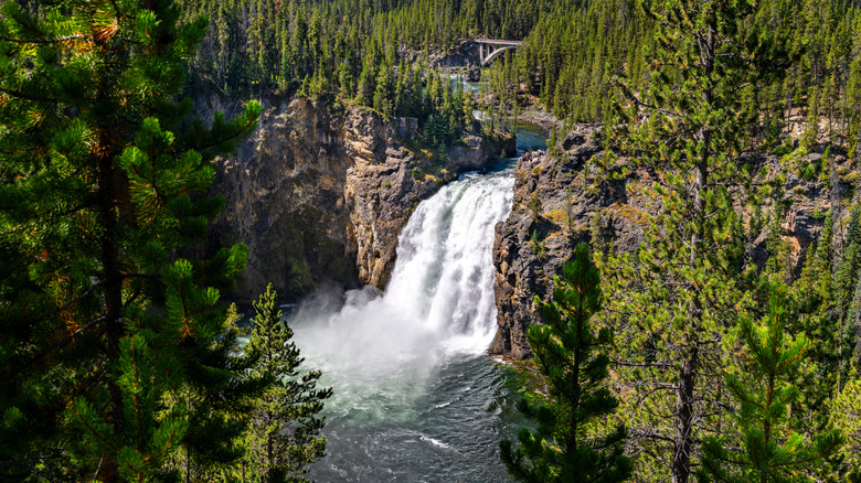 The lower falls of the Yellowstone River in Yellowstone National Park, Wyoming