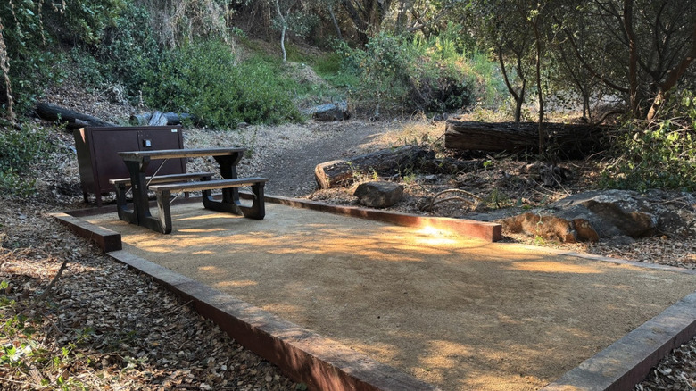 Prisoners Harbor campsite with a concrete pad and a picnic table on Santa Cruz in the Channel Islands National Park