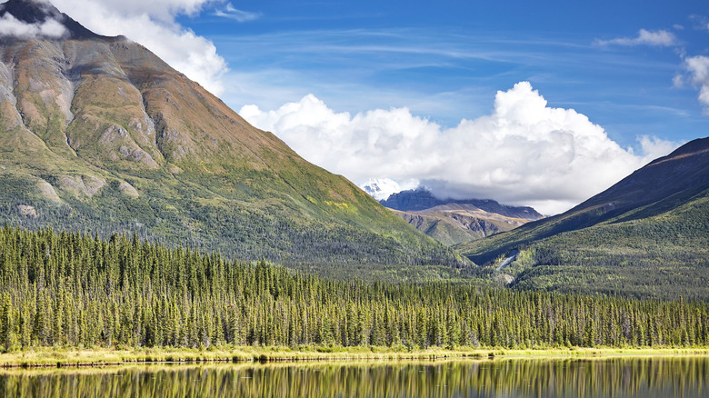 A panorama of the mountains in Wrangell-St. Elias National Park and Preserve