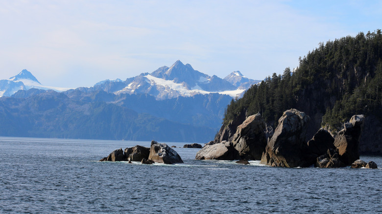 A beautiful view of Kenai Fjords National Park from the water
