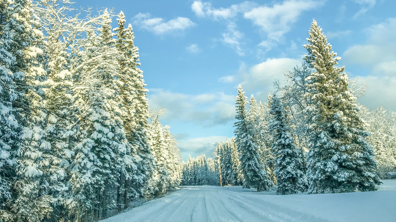A snowy road in Alaska